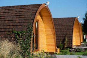 Findhorn Ecovillage Escape Eco Pod Pet free